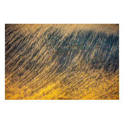 Douglas Page Photographic Arts - Sandprints Designer Series No.27, 36"x24" - Photographs
