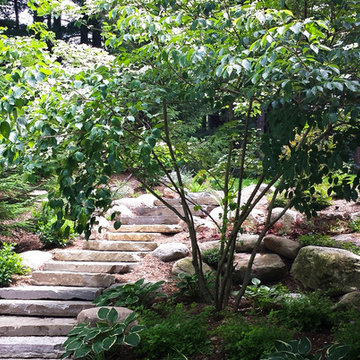 Steps to backyard