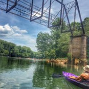 Deborah Walston's photo