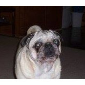 Ella Harris's photo