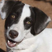 Karen McGary's photo
