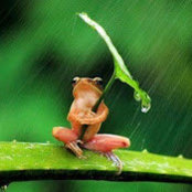 Andy Stephens's photo