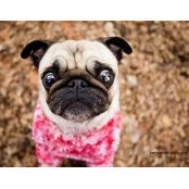 Judith Taeza's photo