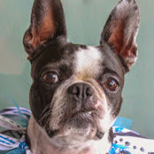 Kathy Jaeck's photo