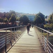 Tina Silva's photo
