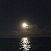 Ann Zmudsky's photo