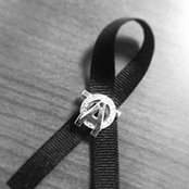 Foto di Ava Debus
