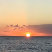 Angela Gorringe's photo