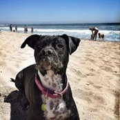 Erica Ishijima's photo