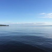Tanya Adolf's photo