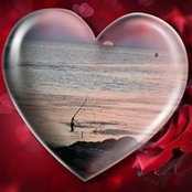 Gigi Luscomb's photo