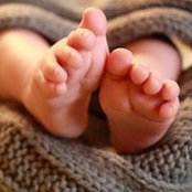 Foto von Steffi Klause