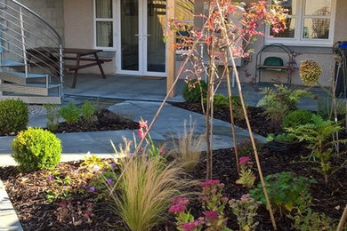 This is an example of a small contemporary back formal partial sun garden in Other with concrete paving.