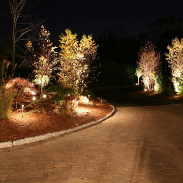 This Landscape and Lighting project Lites up in OVER DRIVE