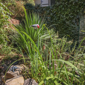 Le jardin d'Isabelle