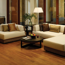 Eco Modern