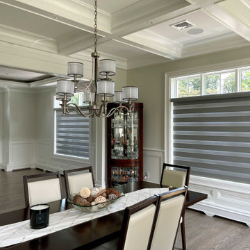 Springblinds Premium Zebra Dual Sheer Shades