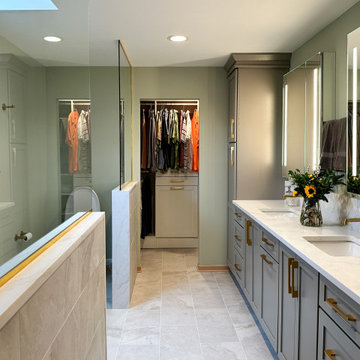 Smart Bath in Arlington Heights