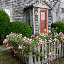 Front Landscaping