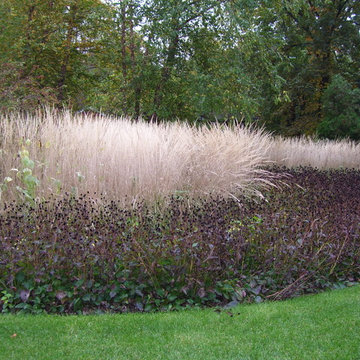 A texture rich four season dynamic