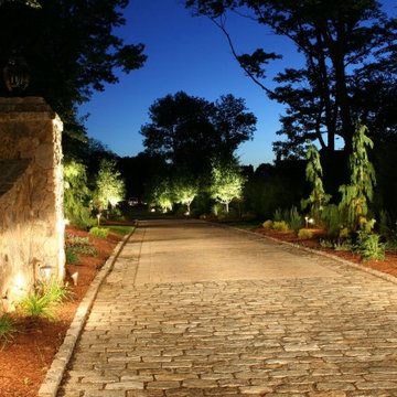 This Landscape and Lighting project Lites up in OVER DRIVE