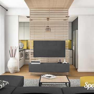 Apartament B-dul Decebal (randari)