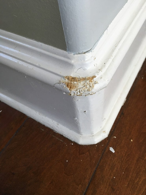 What To Put On Baseboards To Keep Dogs From Chewing