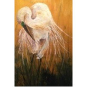 sylviafuller's photo