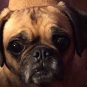 Peggy Rouzzo's photo