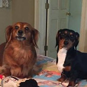Pam Olivier-Treece's photo