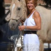 Susie Morelli's photo