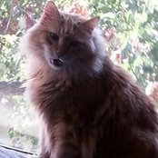 Karen Douillard's photo