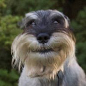 Lisa Klepp's photo