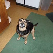 Tina Brown's photo
