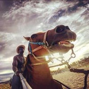 Andrew Darko's photo