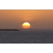 Renee Brown Lynch's photo