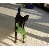 Nancy Pasquan's photo