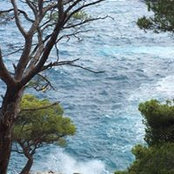 Caroline Fotius's photo