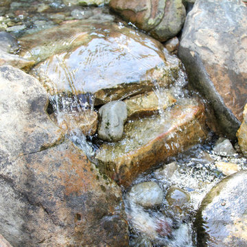 Backyard Retreat-Water Feature
