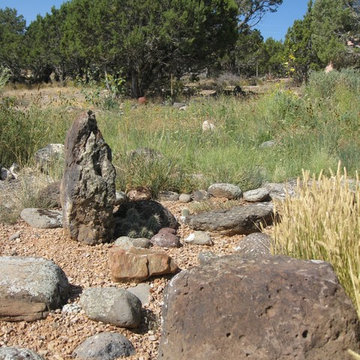 High Plains Desert Garden