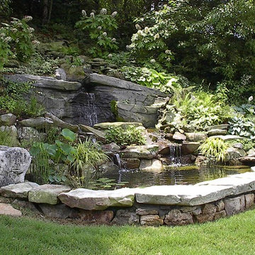 Our Work