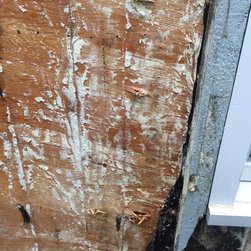 shiplap siding - Products