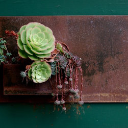 Vertical Gardens - Products