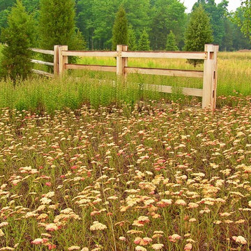 Deer Resistant Landscapes