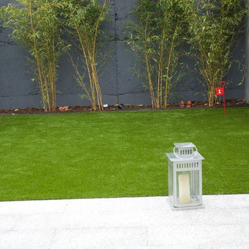 Artificial Grass in Rathmines Urban Garden