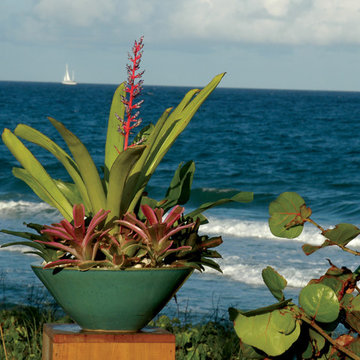 Palm Beach Container Gardens