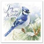 DDCG - "Joy to the World" Blue Jay Canvas Wall Art, 24"x24" - Spread holiday cheer this Christmas season by transforming your home into a festive wonderland with spirited designs. This "Joy to the World" Blue Jay 24x24 Canvas Wall Art makes decorating for the holidays and cultivating your Christmas style easy. With durable construction and finished backing, our Christmas wall art creates the best Christmas decorations because each piece is printed individually on professional grade tightly woven canvas and built ready to hang. The result is a very merry home your holiday guests will love.