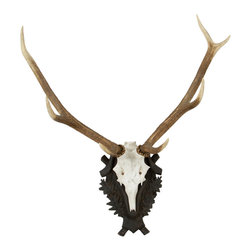 Red Stag Antlers - Home Decor