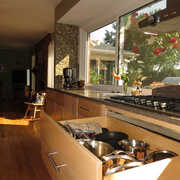 Bloomfield Hills Modern Kitchen
