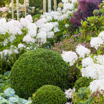 The Country Garden in the Hills